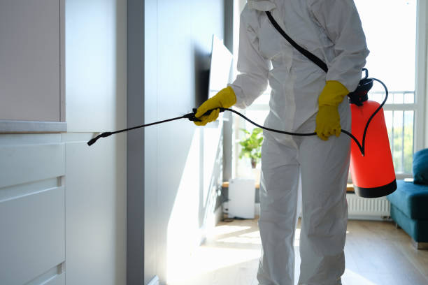 Best Residential Mold Remediation in Mechanicsville, MD